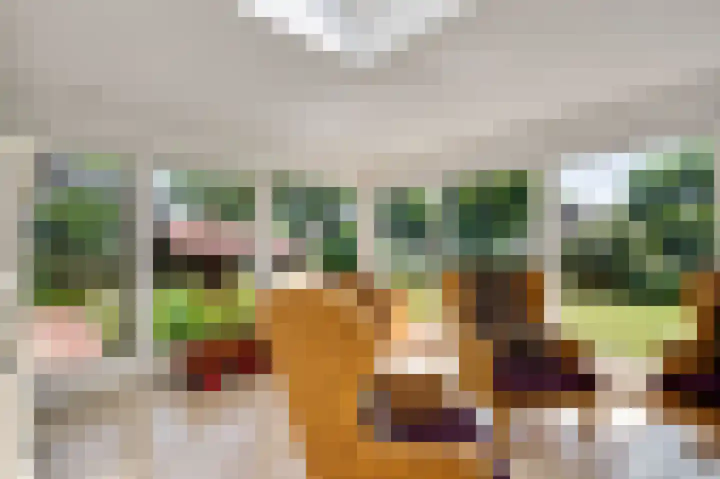 Dr. van de Meerendonkstraat 17 Horst thumbnail 17