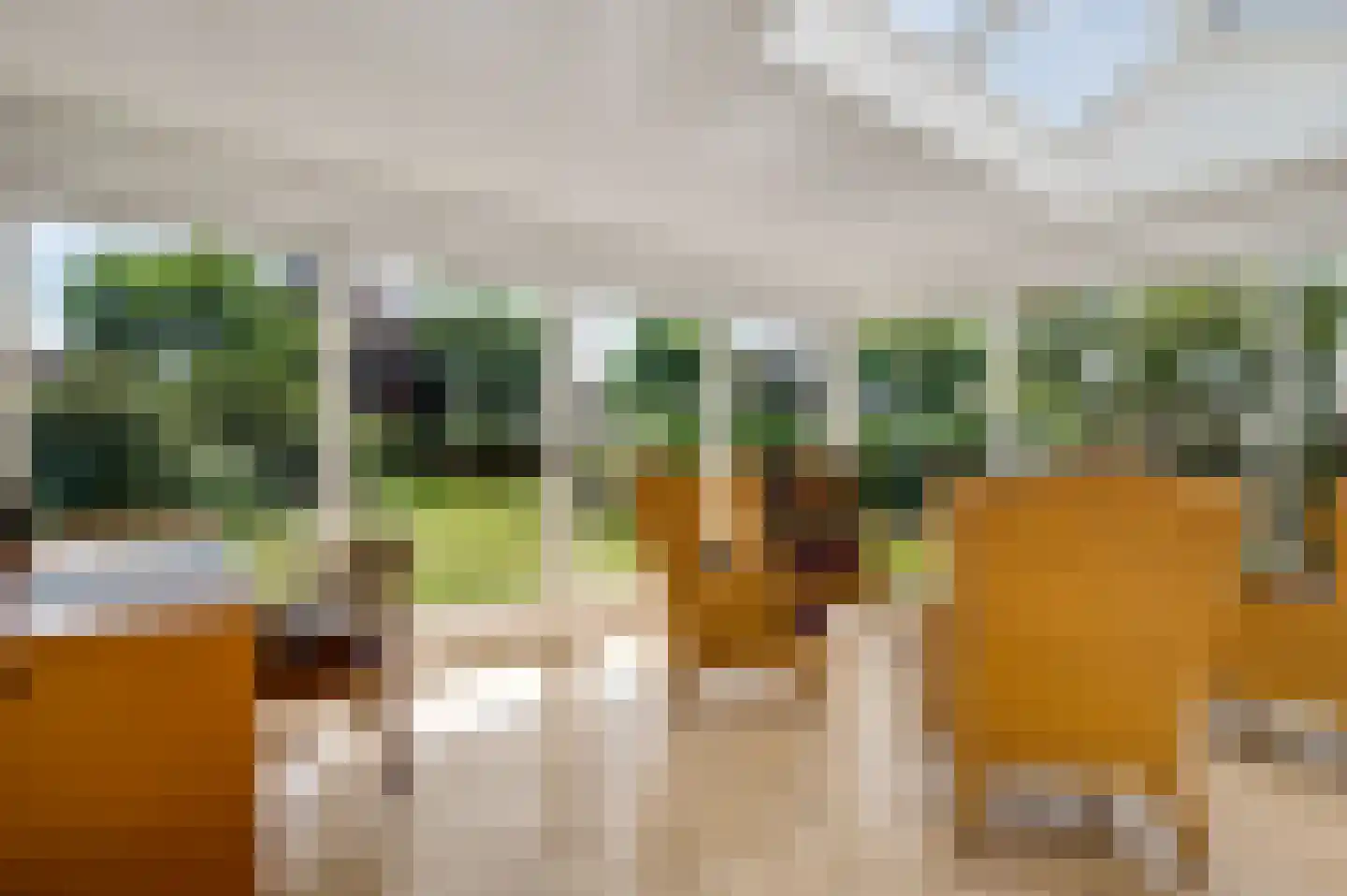 Dr. van de Meerendonkstraat 17 Horst thumbnail 18
