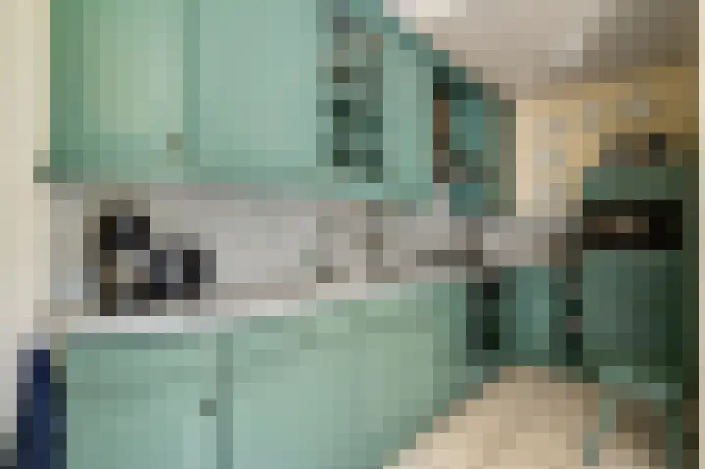 Dr. van de Meerendonkstraat 17 Horst thumbnail 21