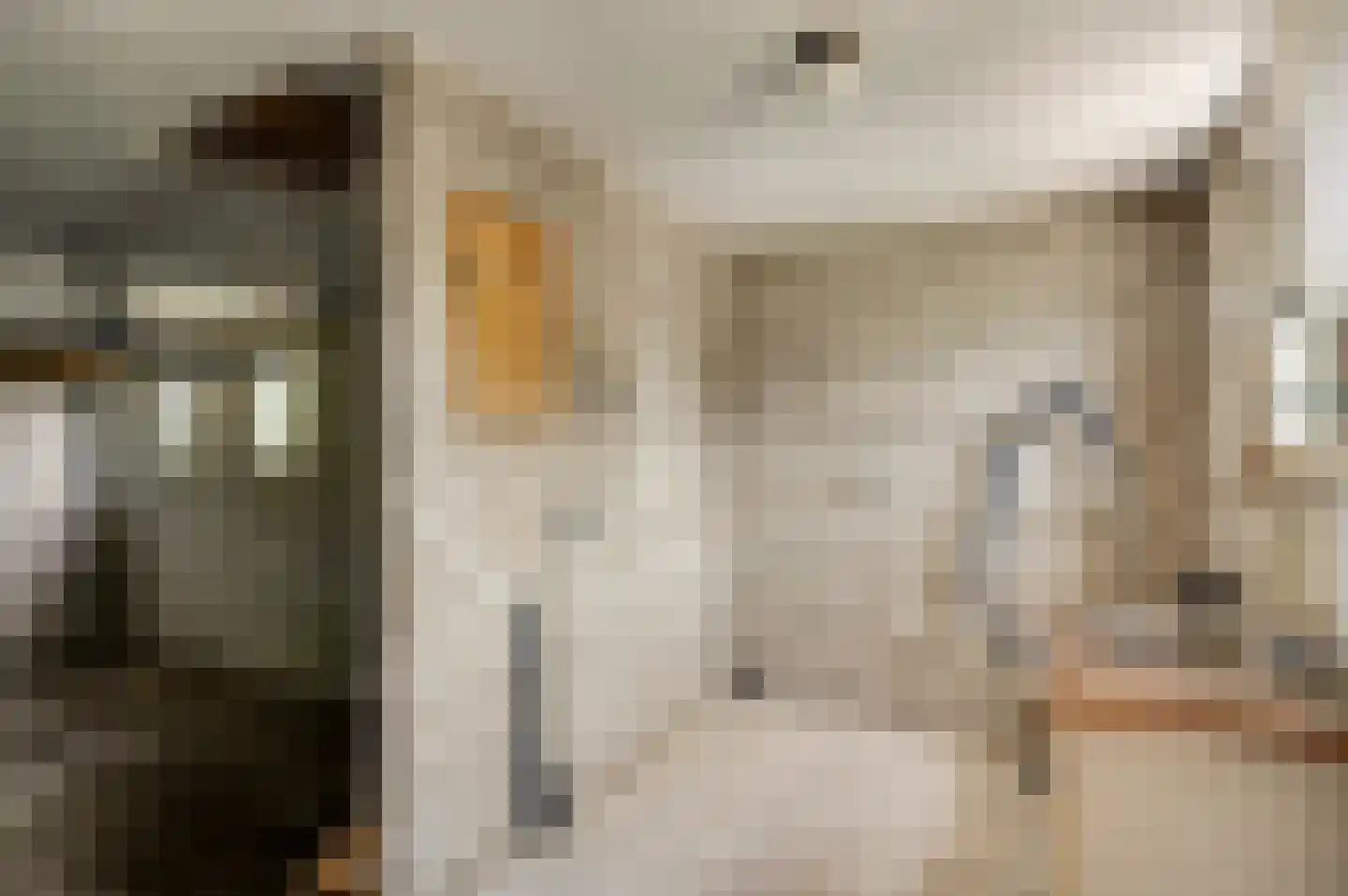 Dr. van de Meerendonkstraat 17 Horst thumbnail 26