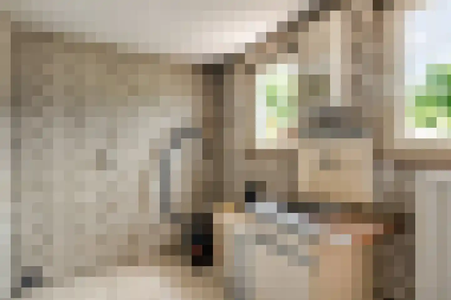 Dr. van de Meerendonkstraat 17 Horst thumbnail 27