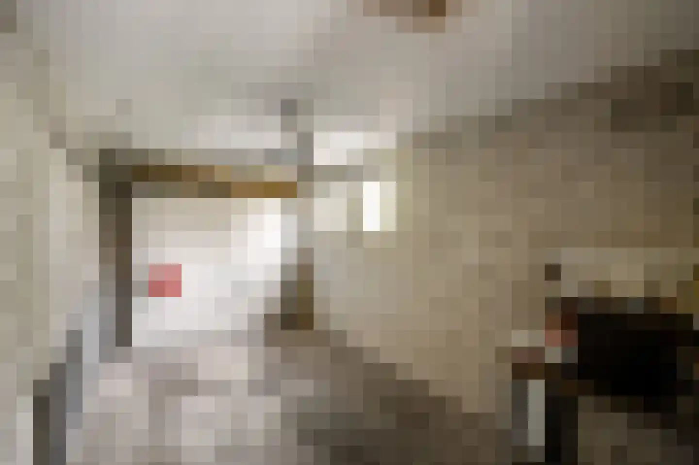 Dr. van de Meerendonkstraat 17 Horst thumbnail 28