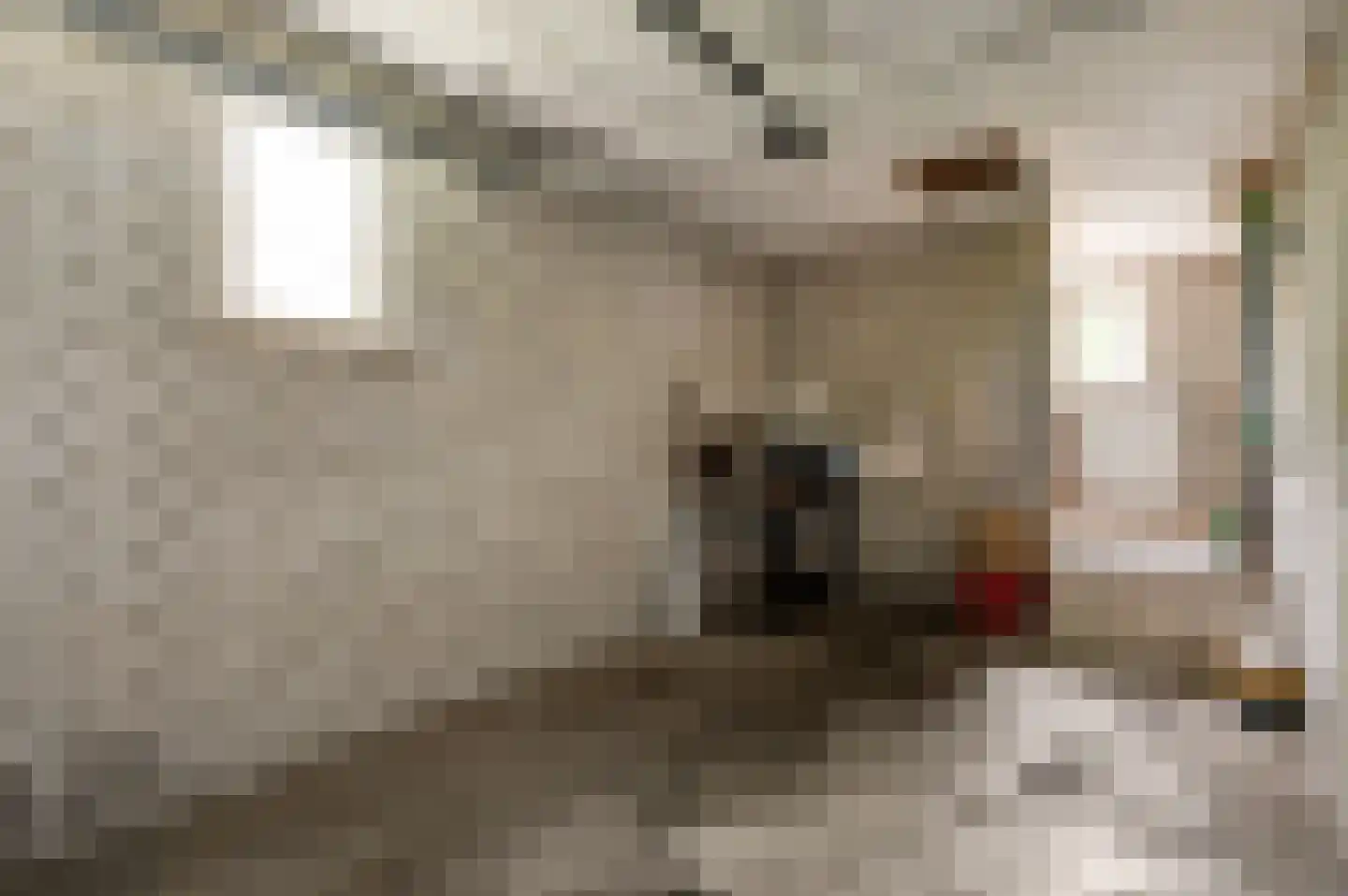 Dr. van de Meerendonkstraat 17 Horst thumbnail 29