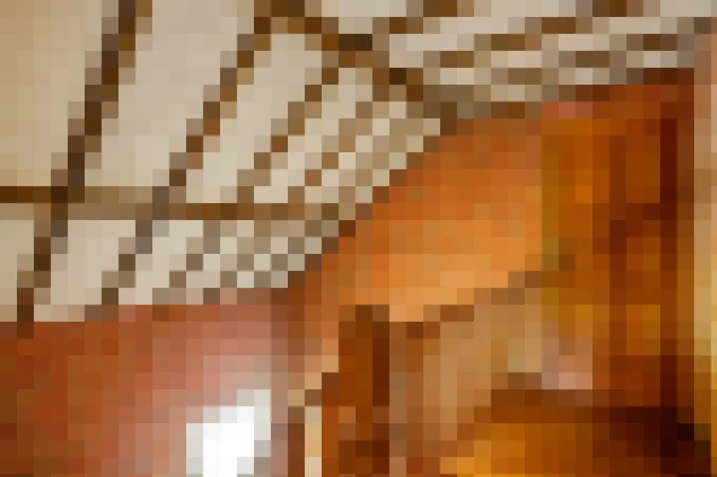 Dr. van de Meerendonkstraat 17 Horst thumbnail 30