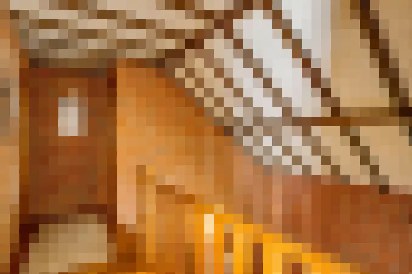 Dr. van de Meerendonkstraat 17 Horst thumbnail 31