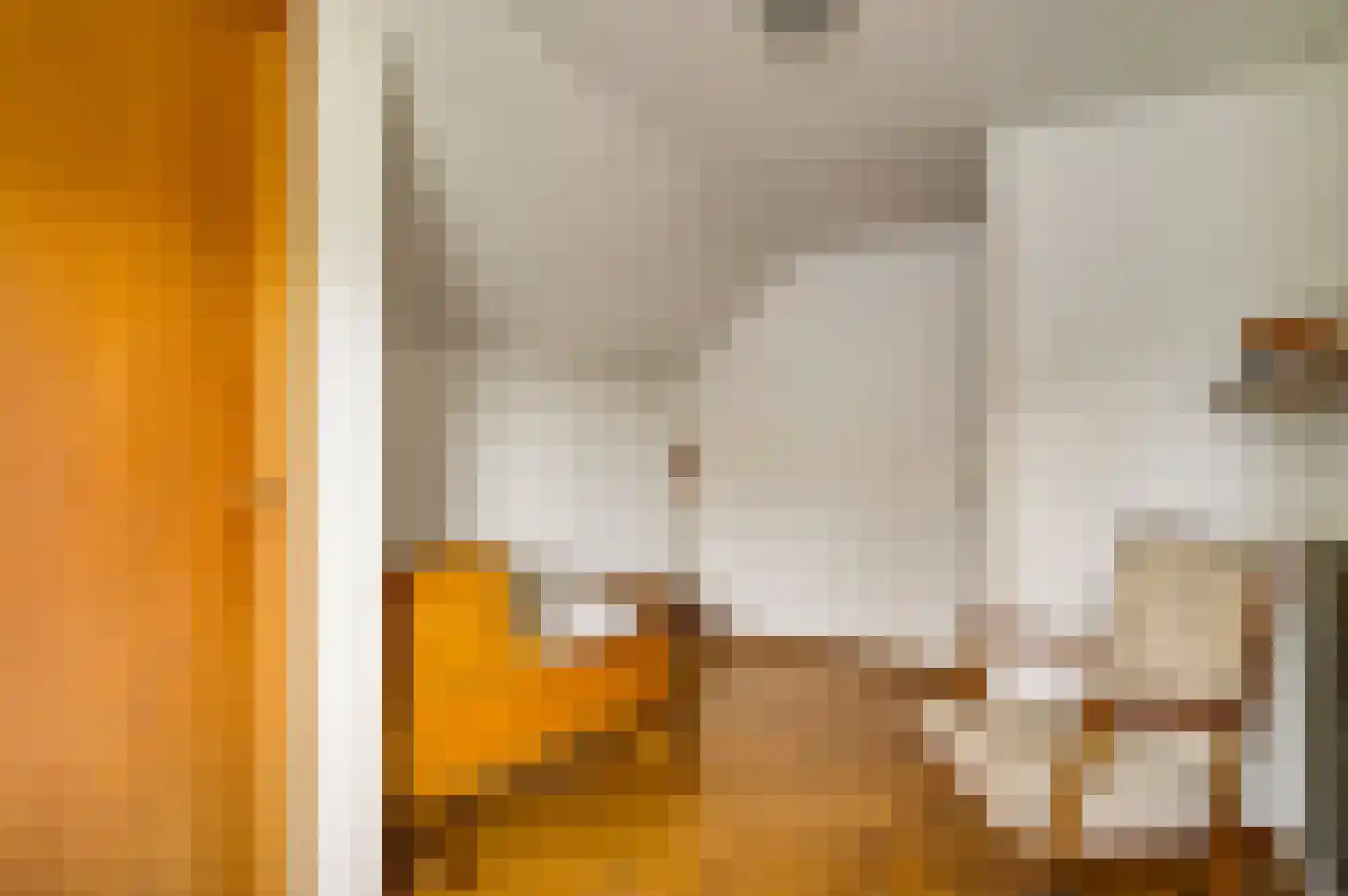 Dr. van de Meerendonkstraat 17 Horst thumbnail 36