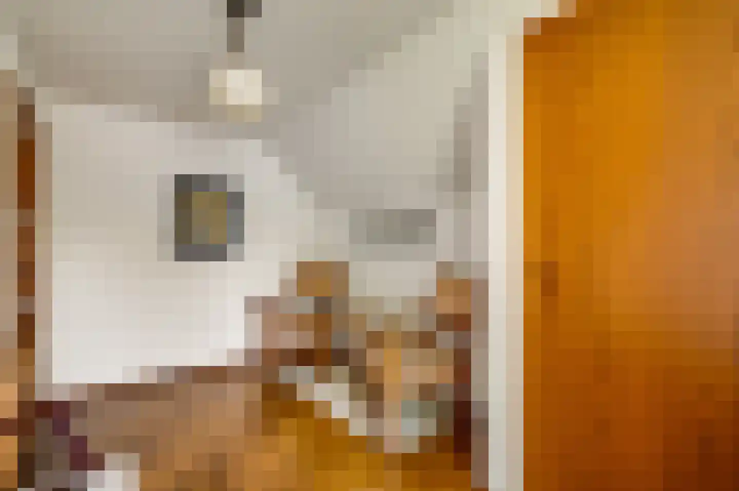 Dr. van de Meerendonkstraat 17 Horst thumbnail 38
