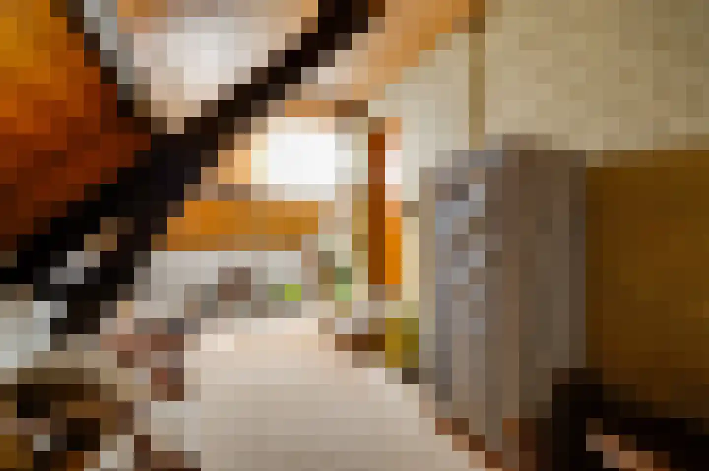 Dr. van de Meerendonkstraat 17 Horst thumbnail 39