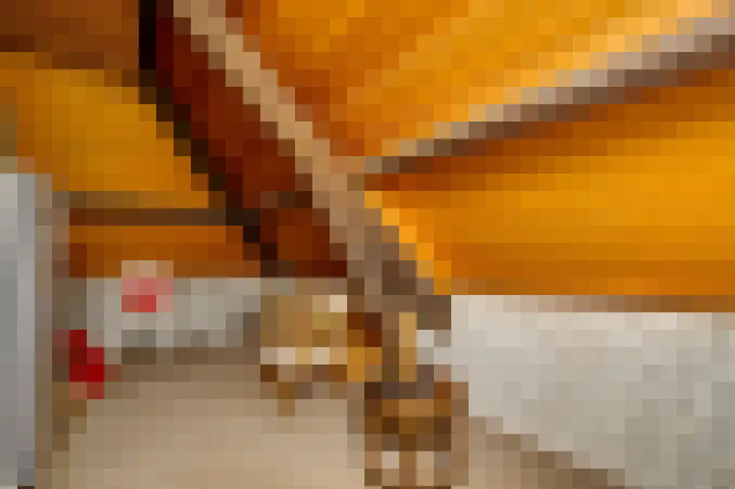 Dr. van de Meerendonkstraat 17 Horst thumbnail 40