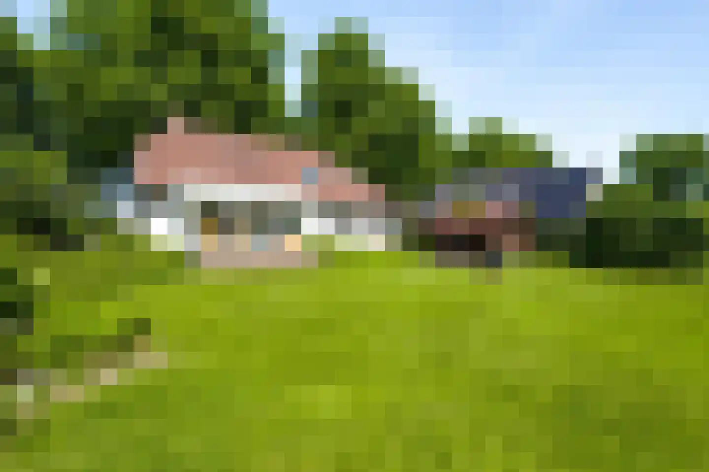 Dr. van de Meerendonkstraat 17 Horst thumbnail 43