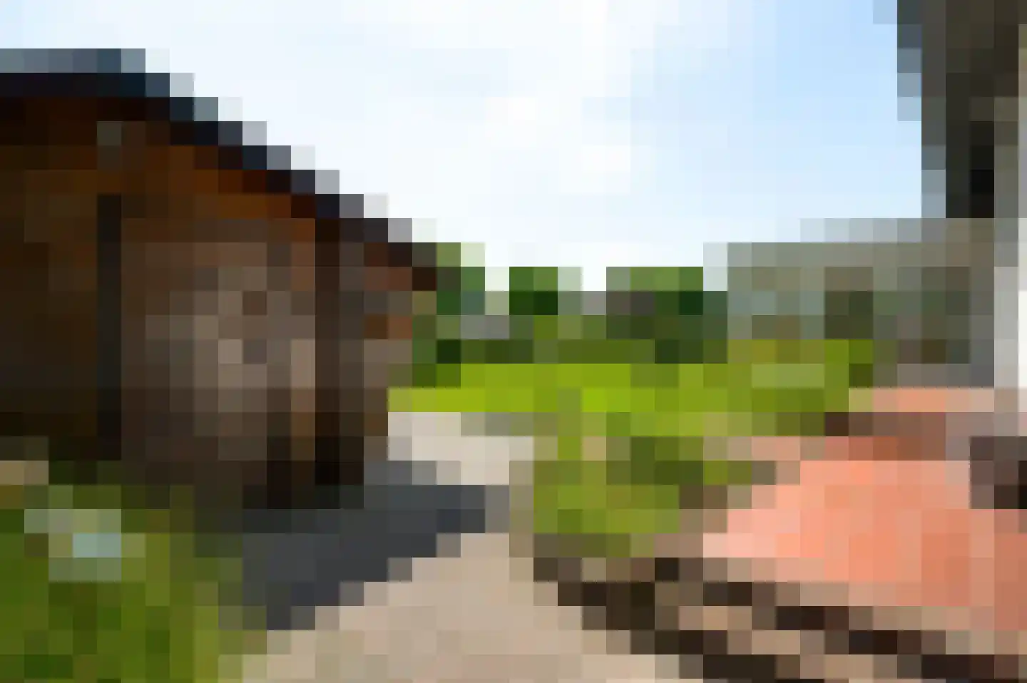 Dr. van de Meerendonkstraat 17 Horst thumbnail 45