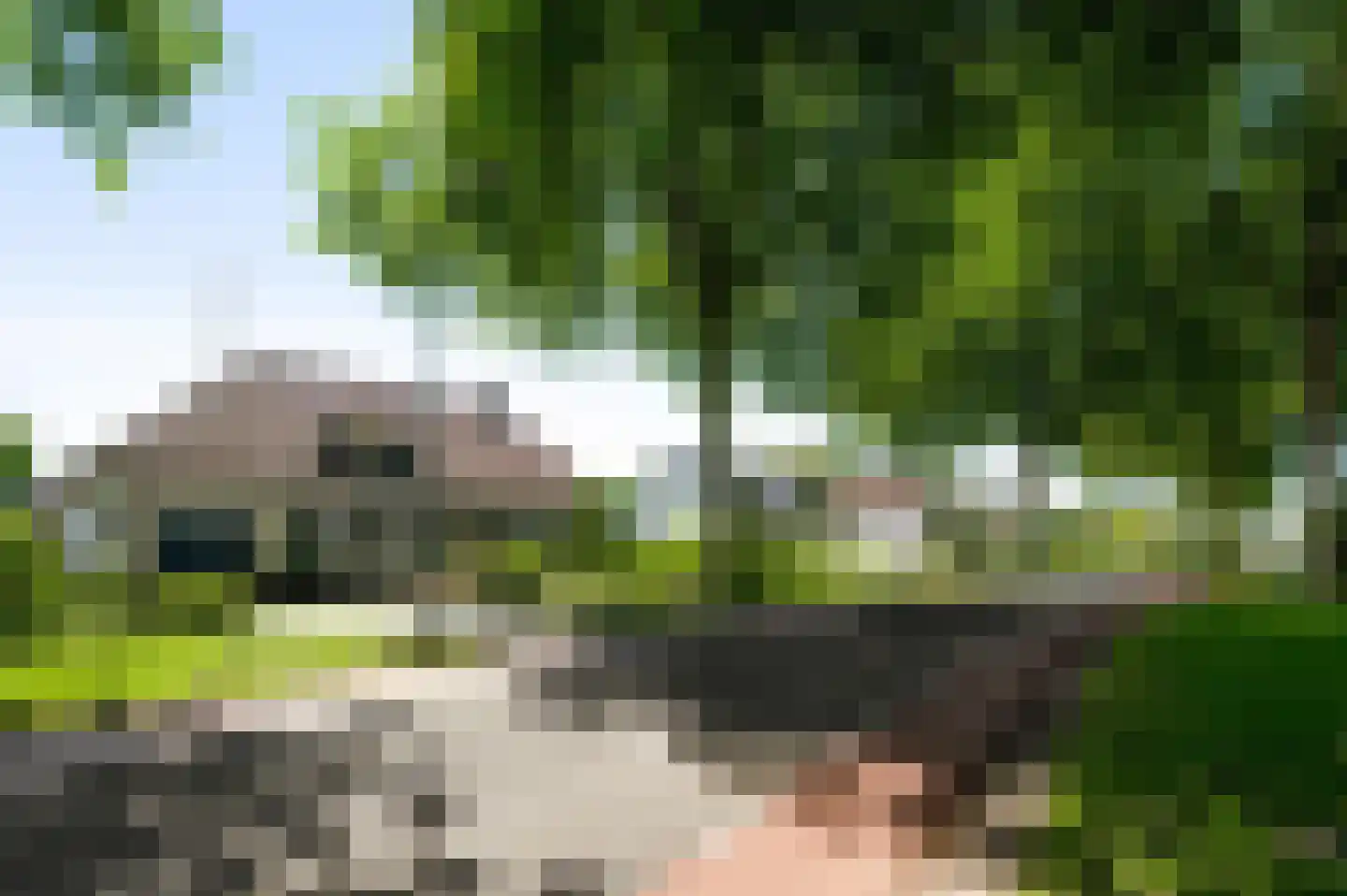 Dr. van de Meerendonkstraat 17 Horst thumbnail 48