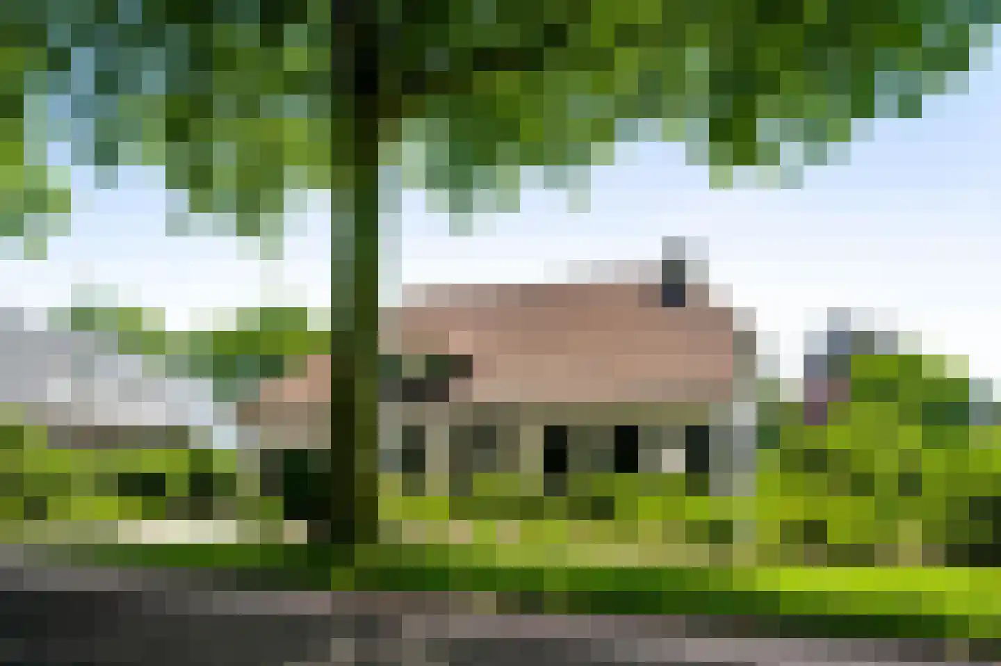 Dr. van de Meerendonkstraat 17 Horst thumbnail 49