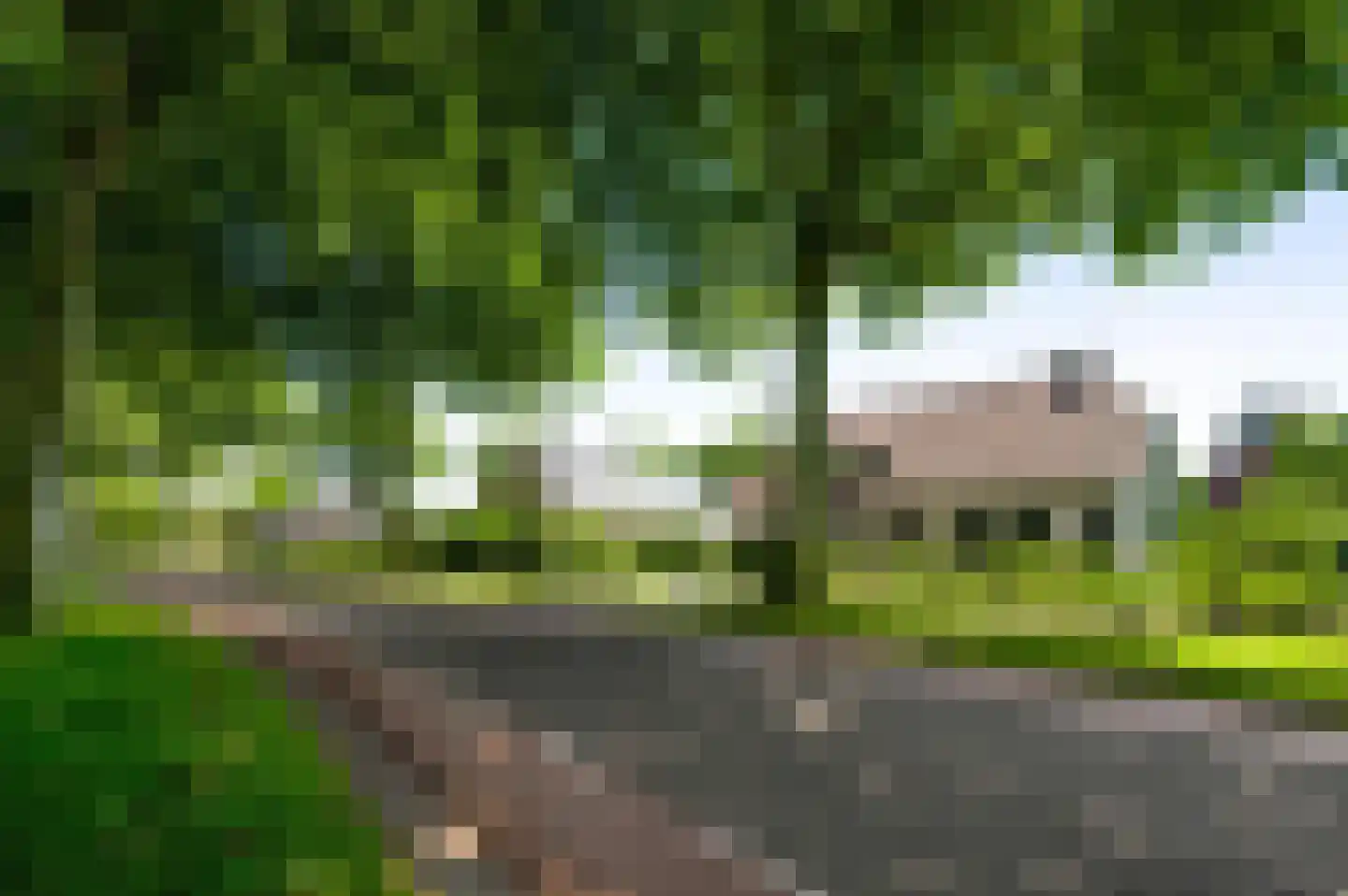 Dr. van de Meerendonkstraat 17 Horst thumbnail 50
