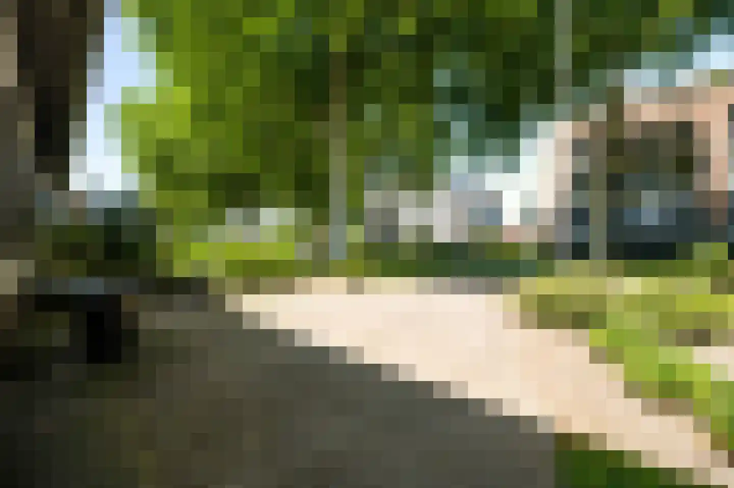 Dr. van de Meerendonkstraat 17 Horst thumbnail 51