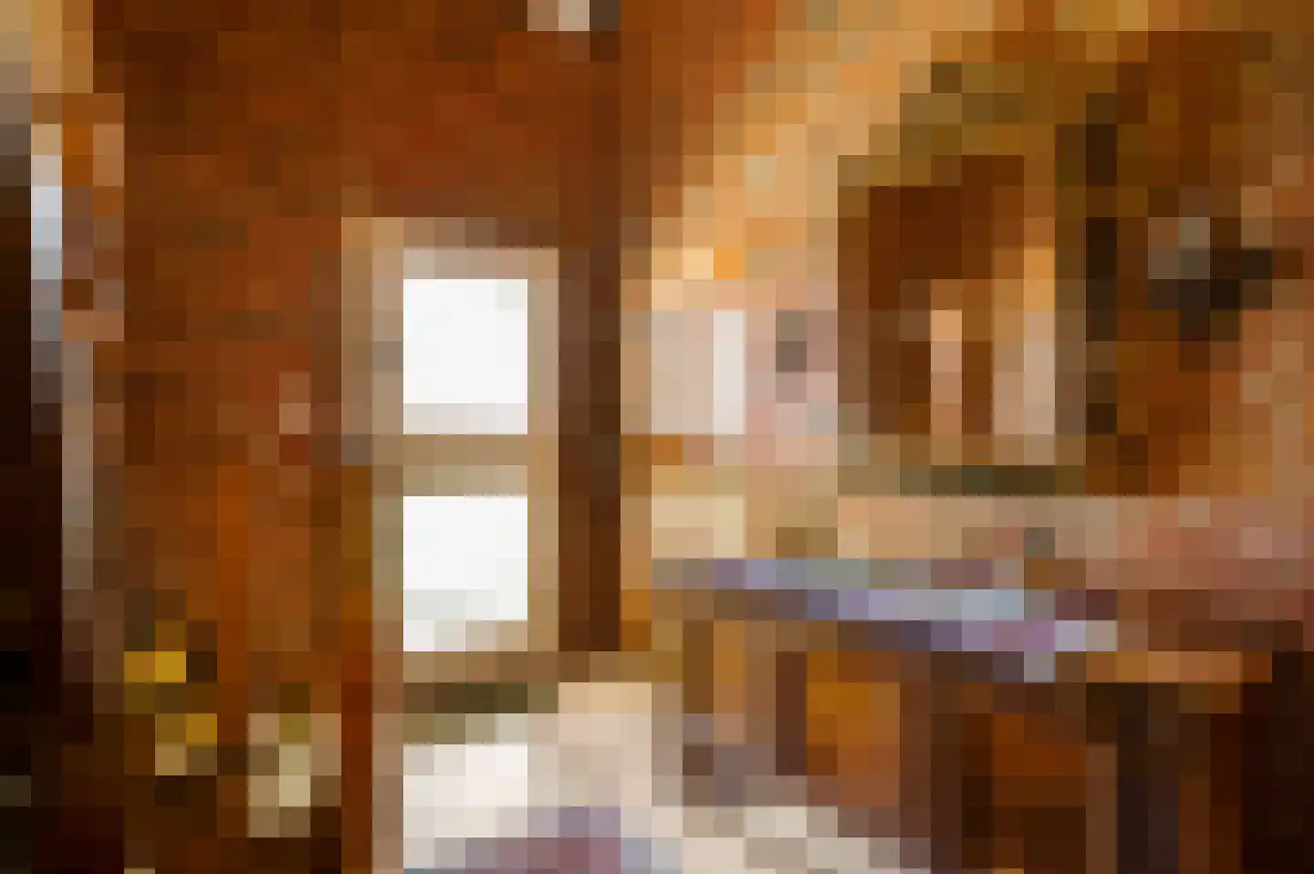 Dr. van de Meerendonkstraat 17 Horst thumbnail 7
