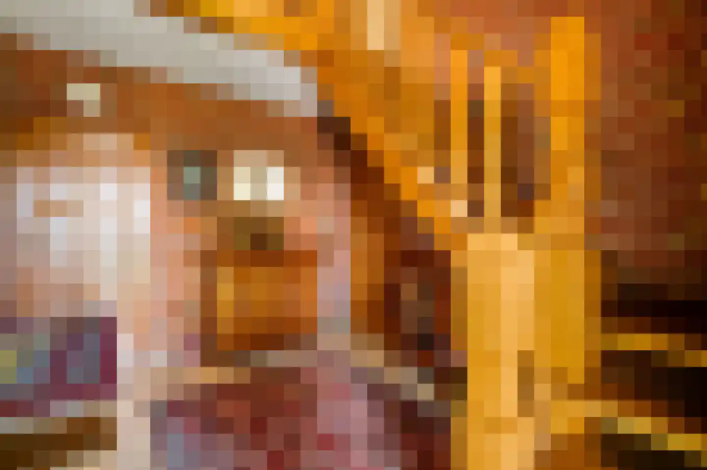 Dr. van de Meerendonkstraat 17 Horst thumbnail 8