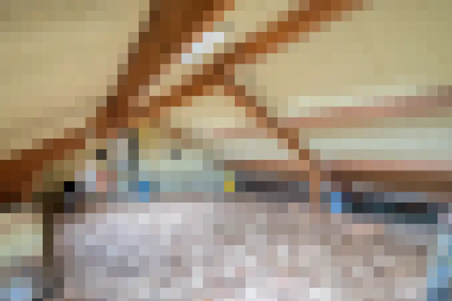 Dr. van den Bergstraat 10 Nijeveen thumbnail 37