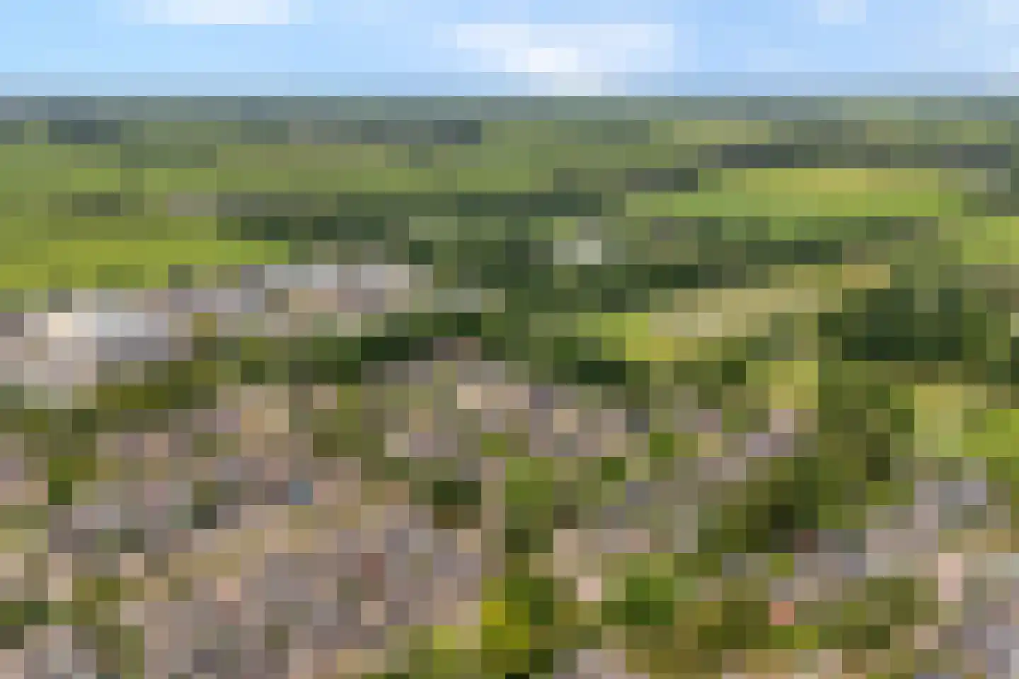 Dr. van den Bergstraat 10 Nijeveen thumbnail 7