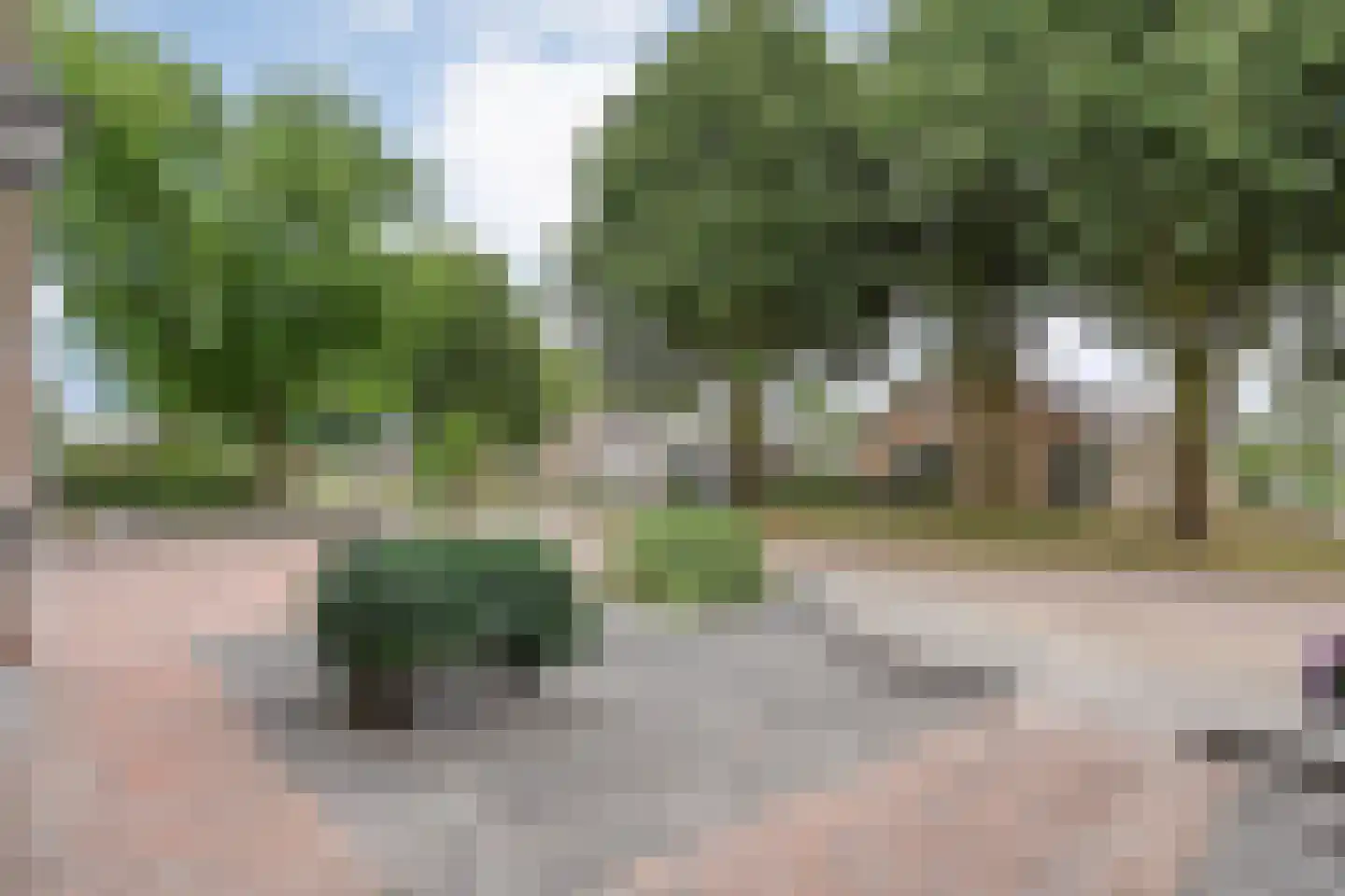 Dr. van den Bergstraat 10 Nijeveen thumbnail 8
