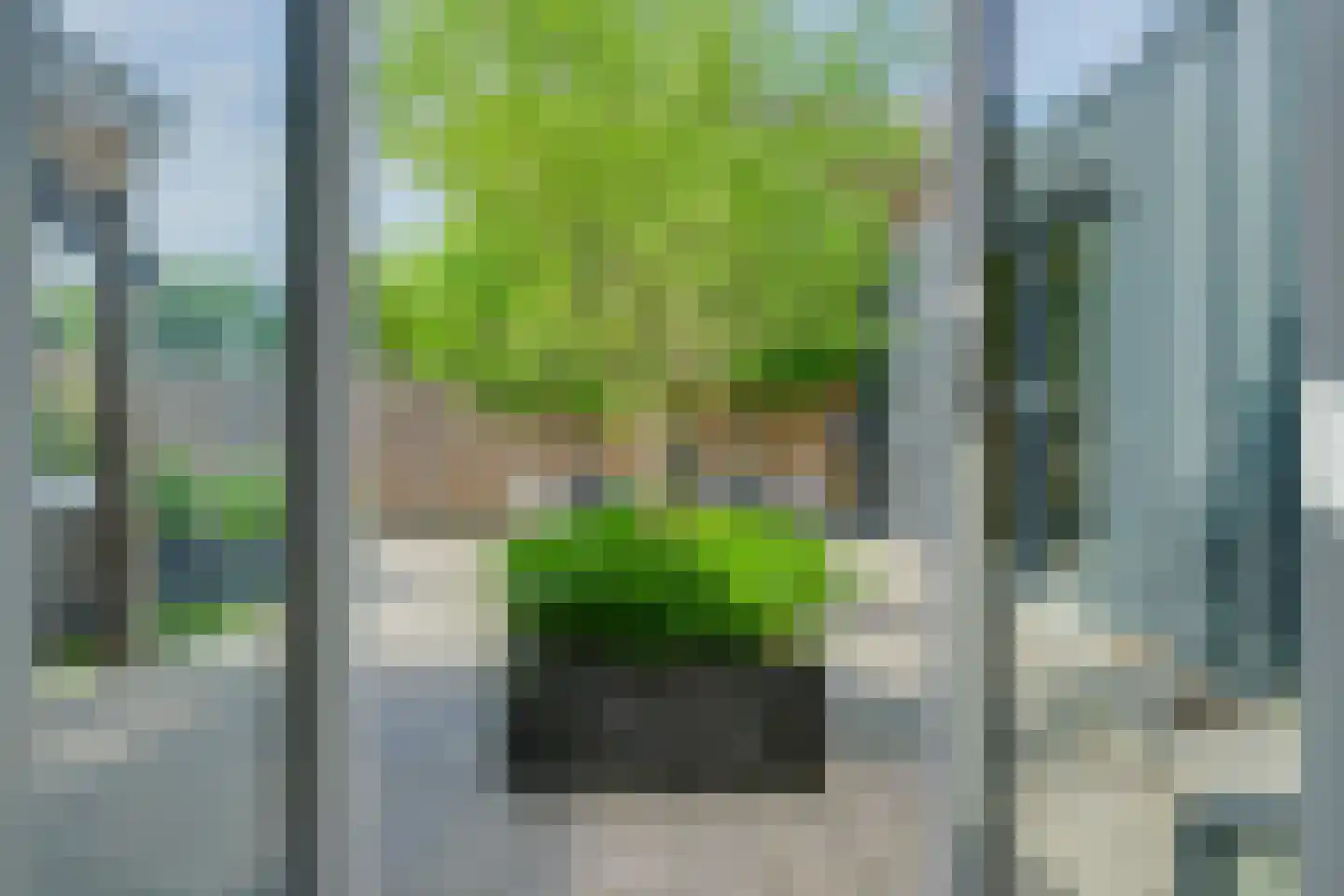 Dr van der Meerstraat 7 Dinxperlo thumbnail 15