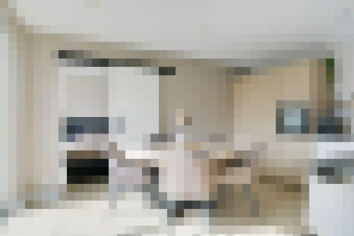 Dr van der Meerstraat 7 Dinxperlo thumbnail 23