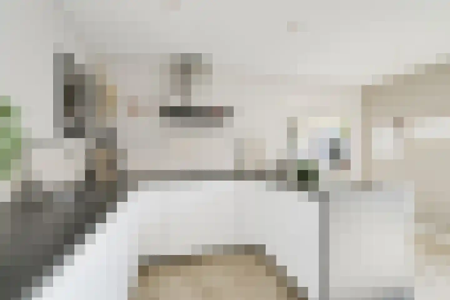 Dr van der Meerstraat 7 Dinxperlo thumbnail 25