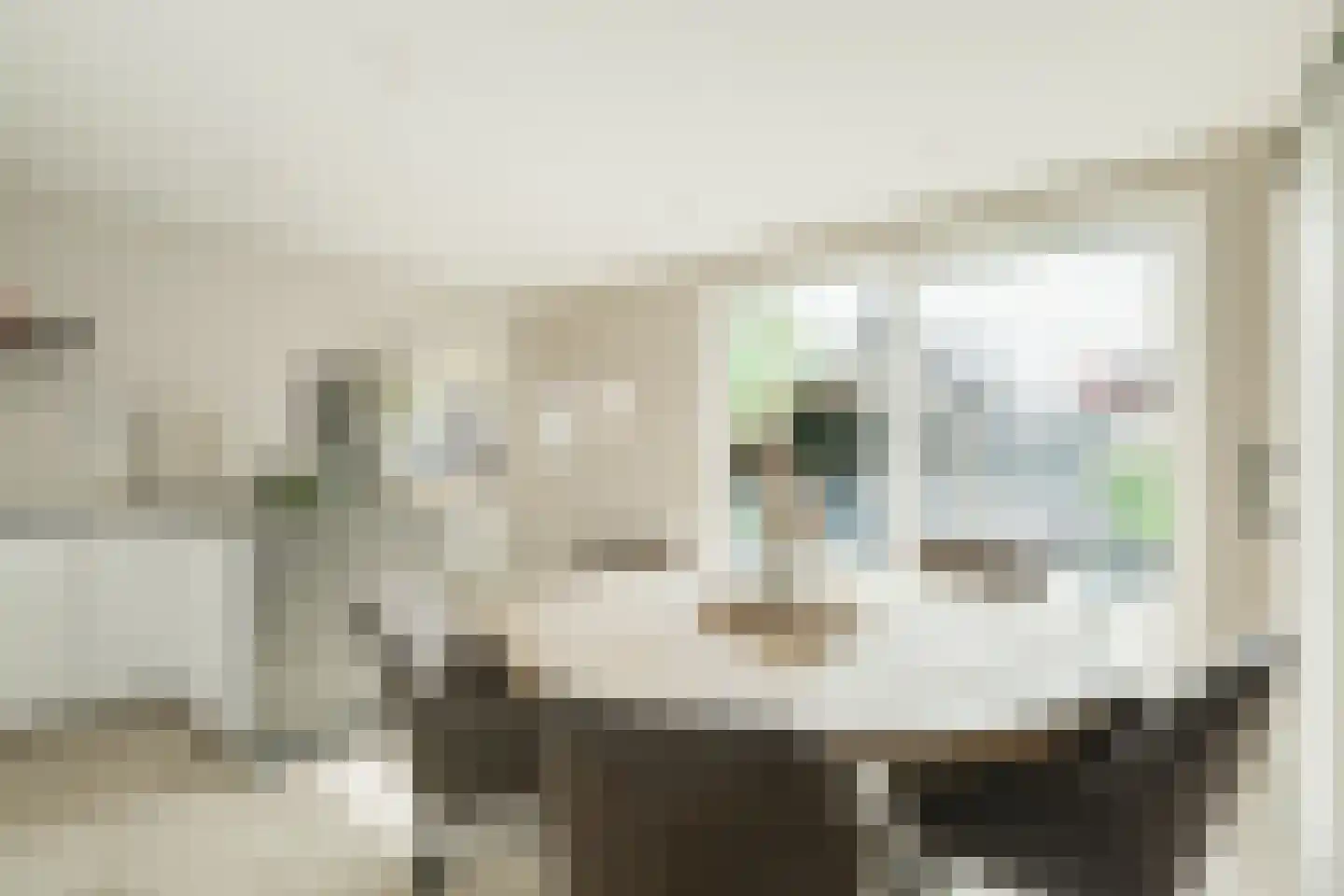 Dr van der Meerstraat 7 Dinxperlo thumbnail 29