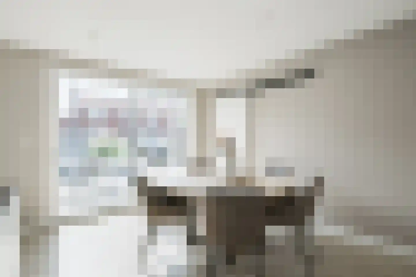Dr van der Meerstraat 7 Dinxperlo thumbnail 30