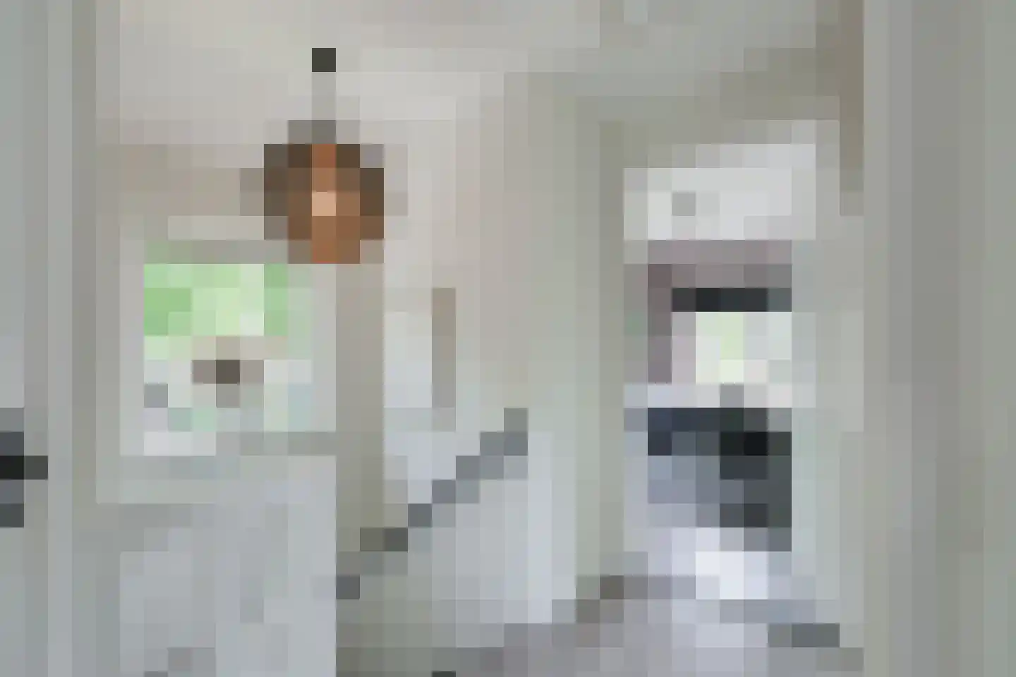 Dr van der Meerstraat 7 Dinxperlo thumbnail 35