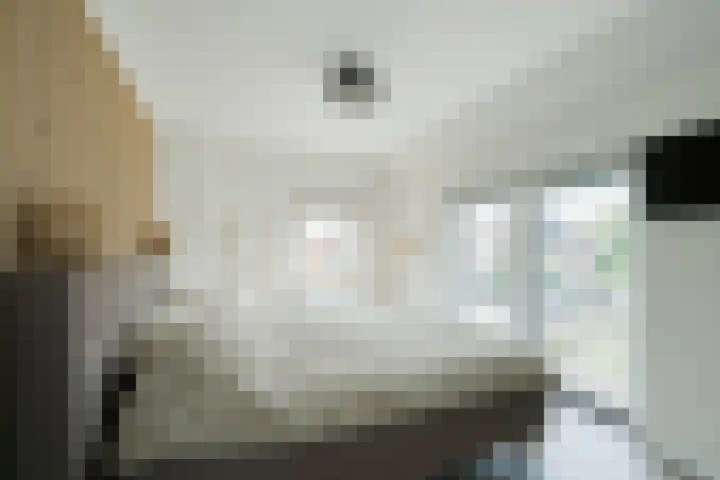 Dr van der Meerstraat 7 Dinxperlo thumbnail 38