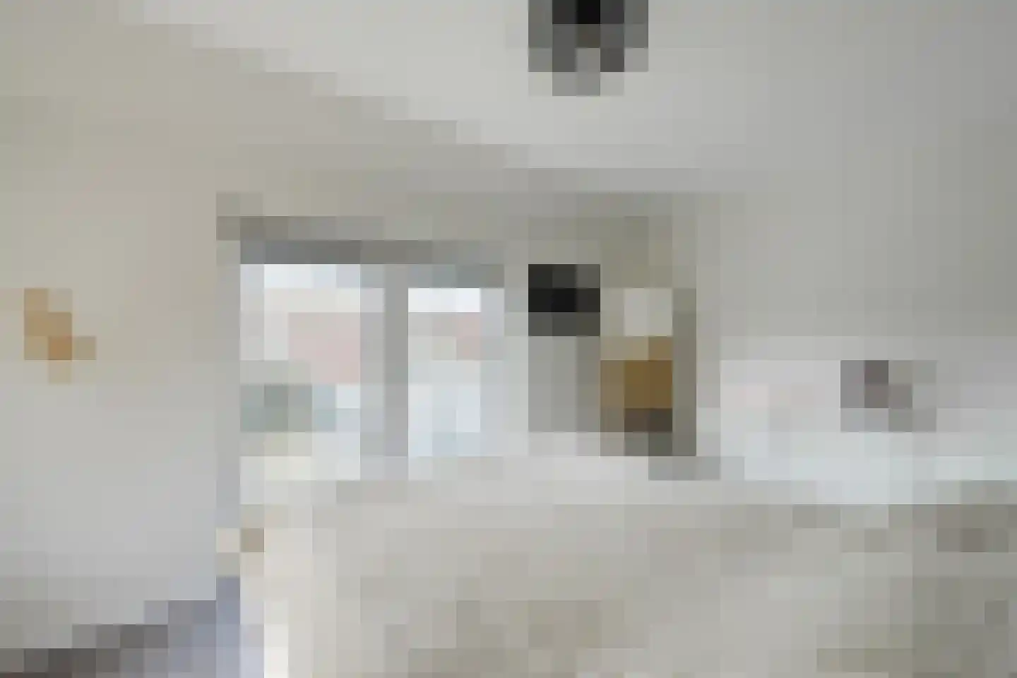 Dr van der Meerstraat 7 Dinxperlo thumbnail 39
