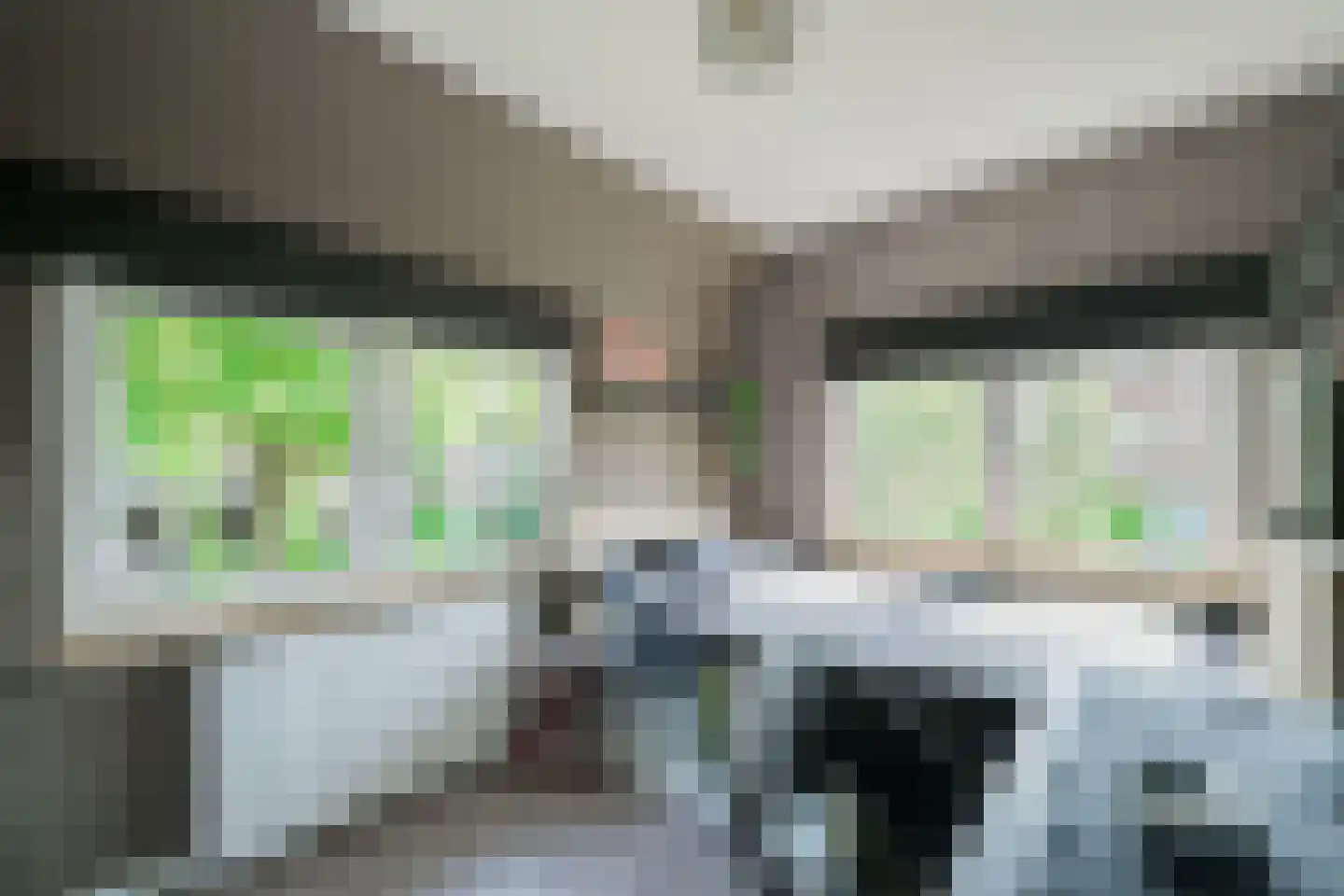 Dr van der Meerstraat 7 Dinxperlo thumbnail 40