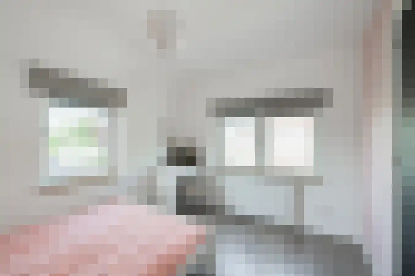 Dr van der Meerstraat 7 Dinxperlo thumbnail 42