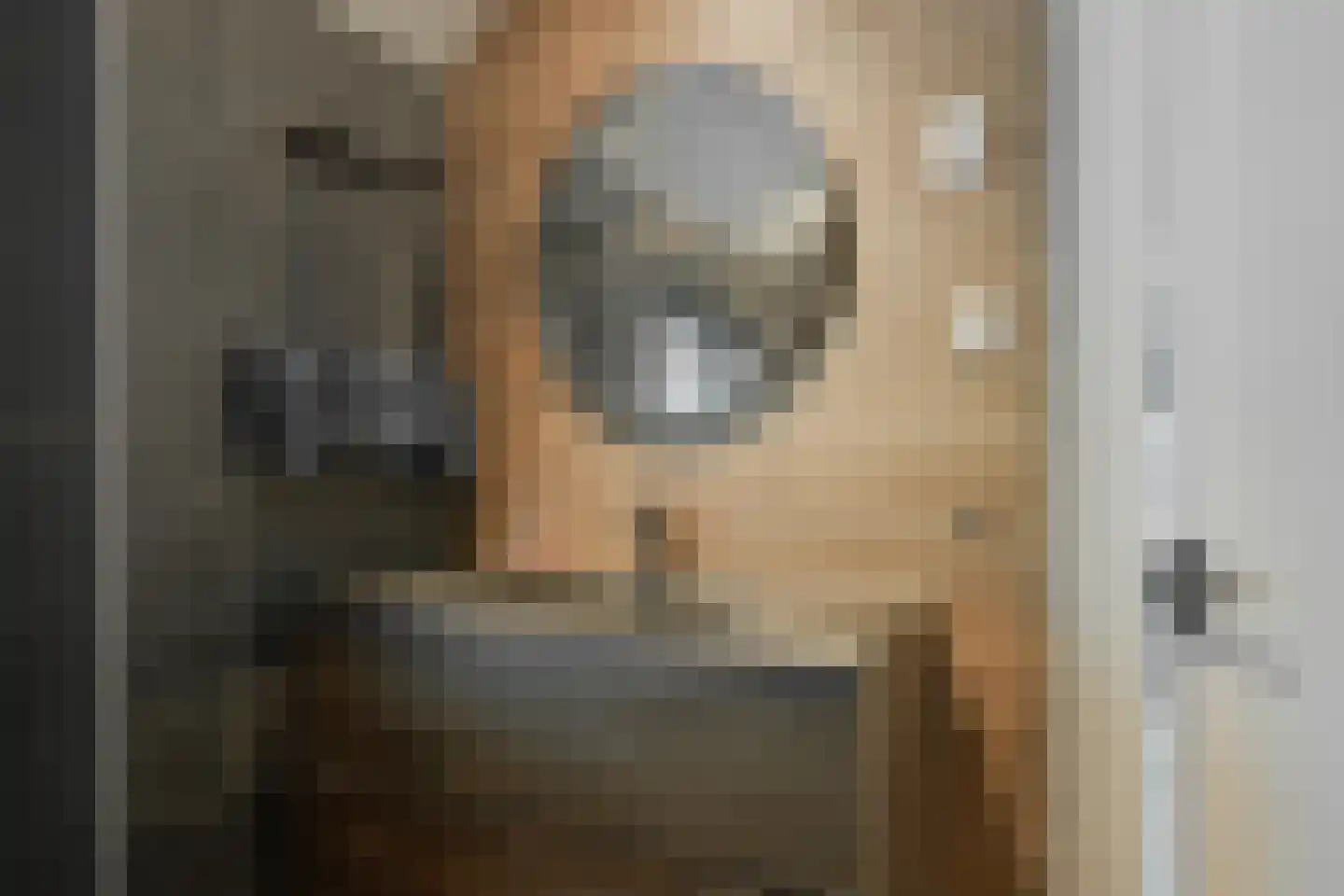 Dr van der Meerstraat 7 Dinxperlo thumbnail 47