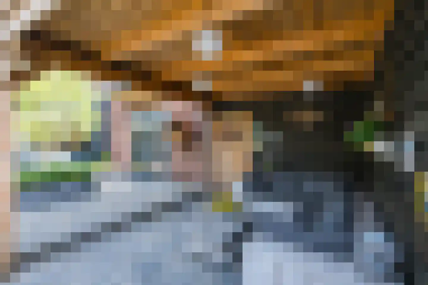 Dr van der Meerstraat 7 Dinxperlo thumbnail 56