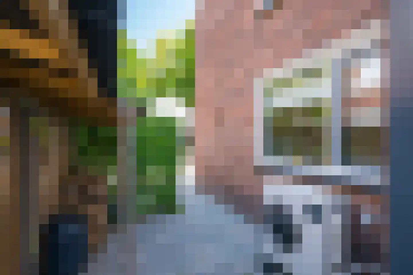 Dr van der Meerstraat 7 Dinxperlo thumbnail 65
