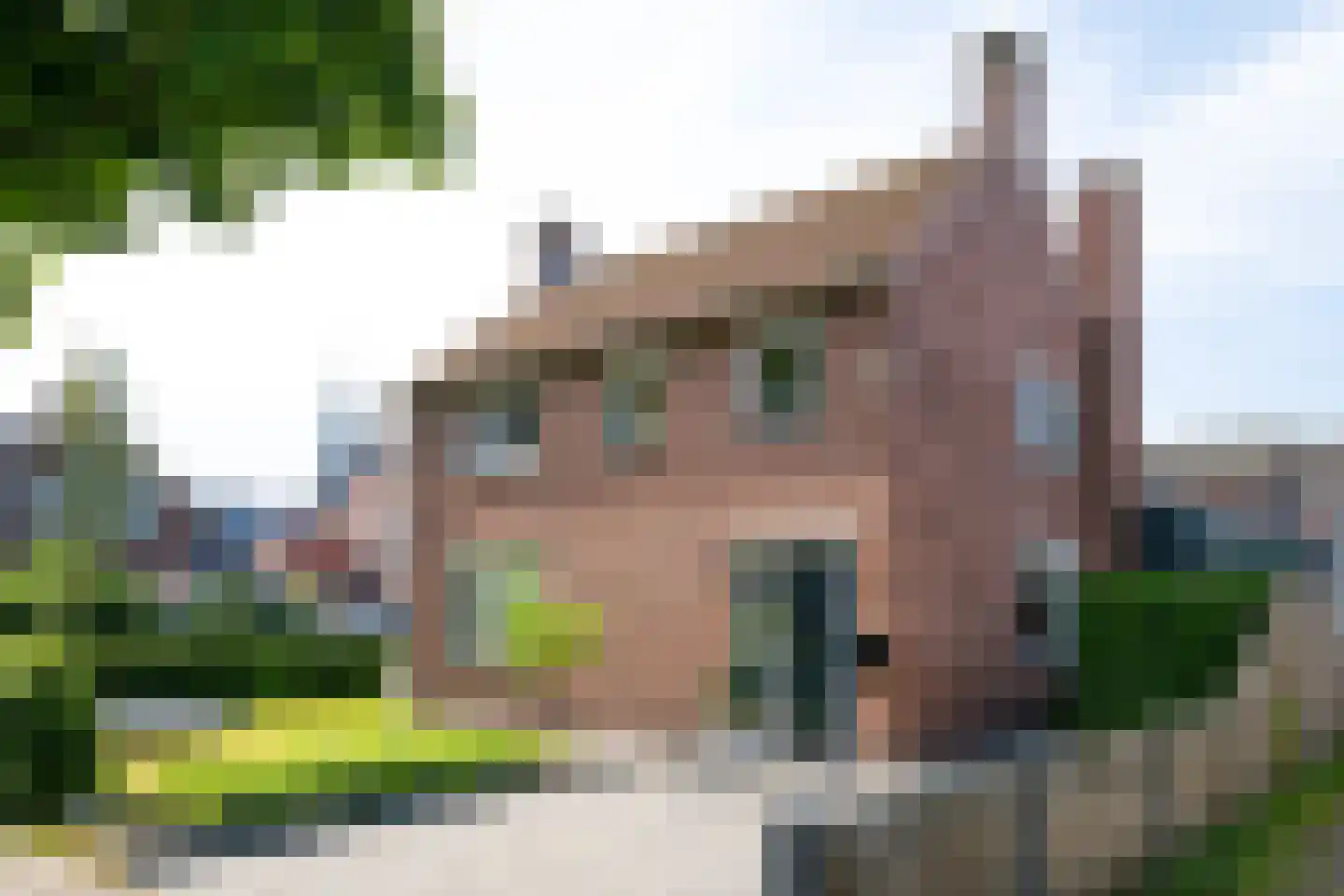 Dr van der Meerstraat 7 Dinxperlo thumbnail 68