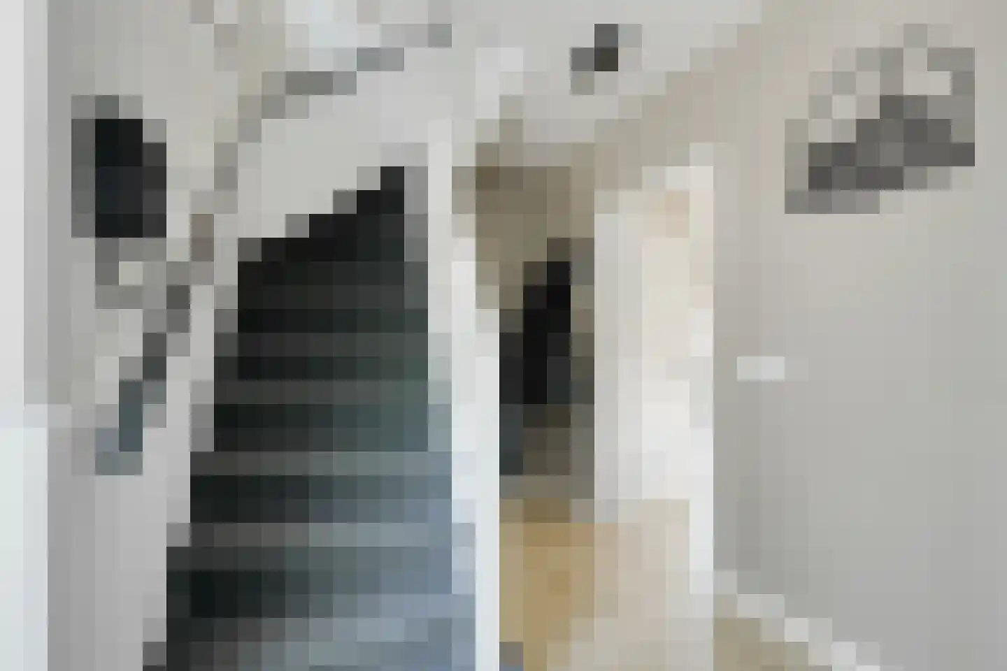 Dr van der Meerstraat 7 Dinxperlo thumbnail 8
