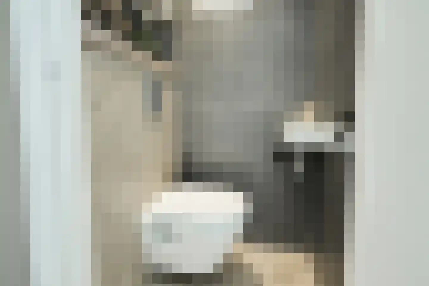Dr van der Meerstraat 7 Dinxperlo thumbnail 9