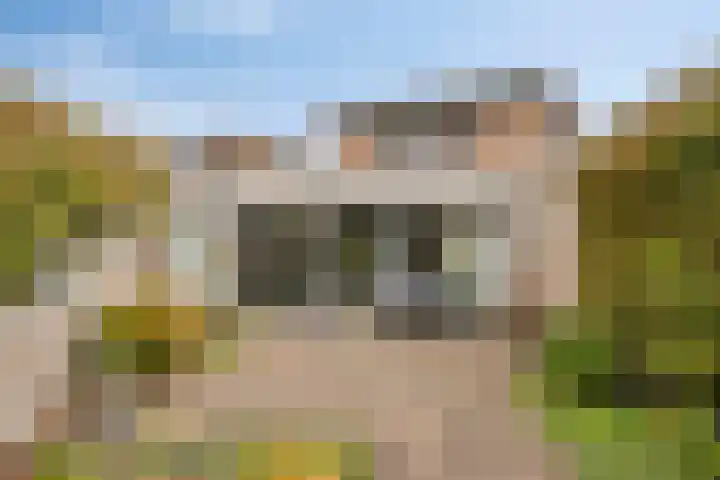 Dr. van der Steenlaan 10 Oss thumbnail 23