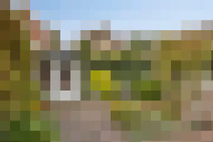 Dr. van der Steenlaan 10 Oss thumbnail 25
