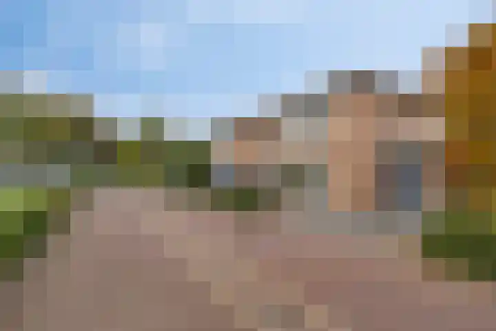 Dr. van der Steenlaan 10 Oss thumbnail 29