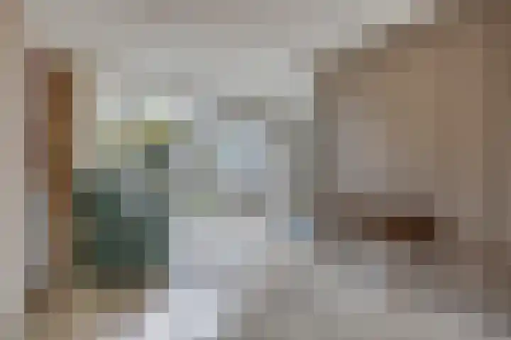 Dr. van der Steenlaan 10 Oss thumbnail 7