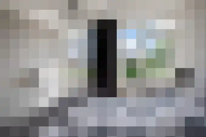 Dr. van der Willigenstraat 17 Tricht thumbnail 16