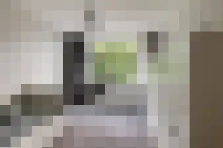 Dr. van der Willigenstraat 17 Tricht thumbnail 19