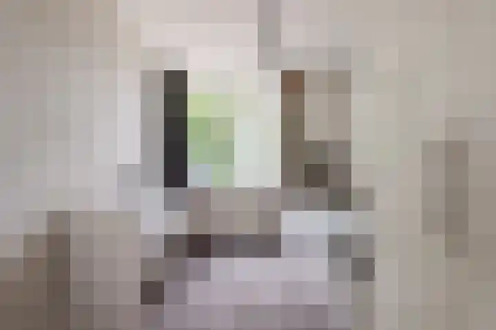 Dr. van der Willigenstraat 17 Tricht thumbnail 21