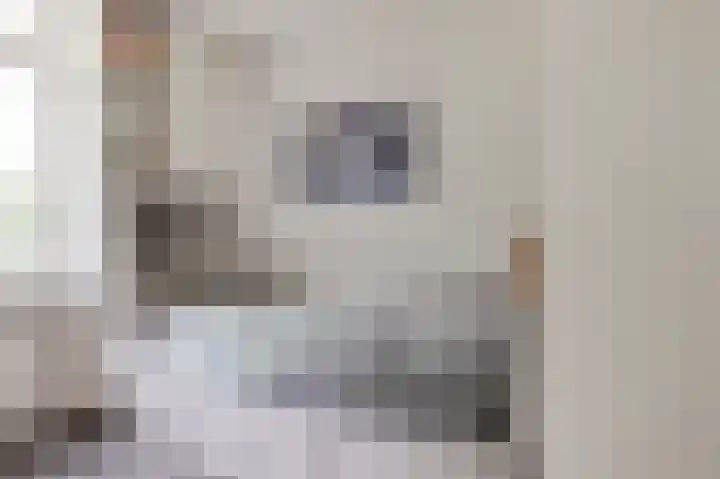 Dr. van der Willigenstraat 17 Tricht thumbnail 22