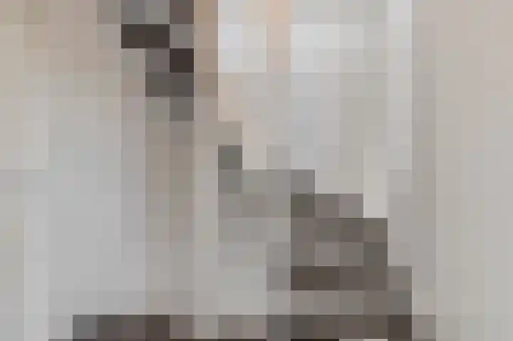 Dr. van der Willigenstraat 17 Tricht thumbnail 27