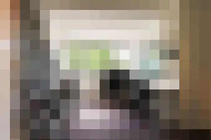 Dr. van der Willigenstraat 17 Tricht thumbnail 30